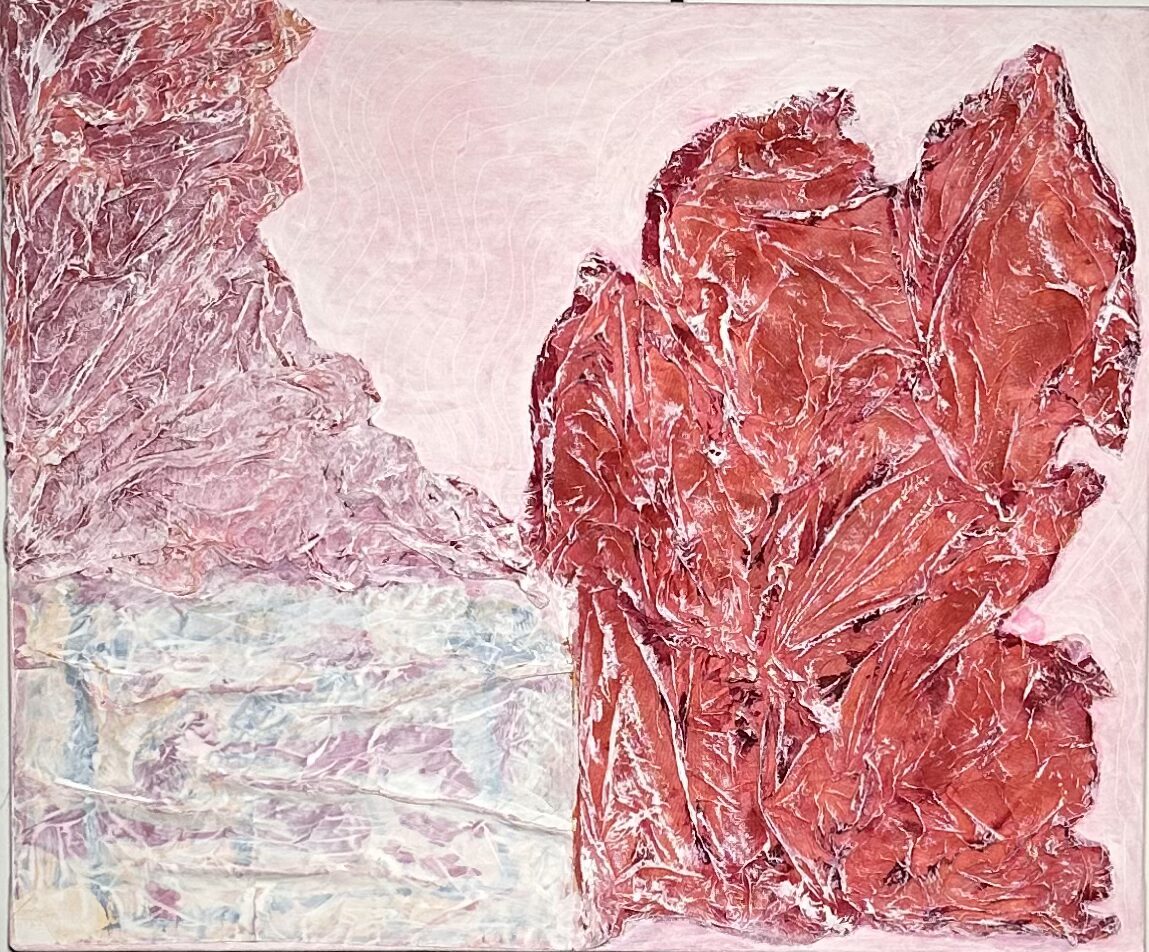 Anemoni-acrilico e carte su tela(50×60)