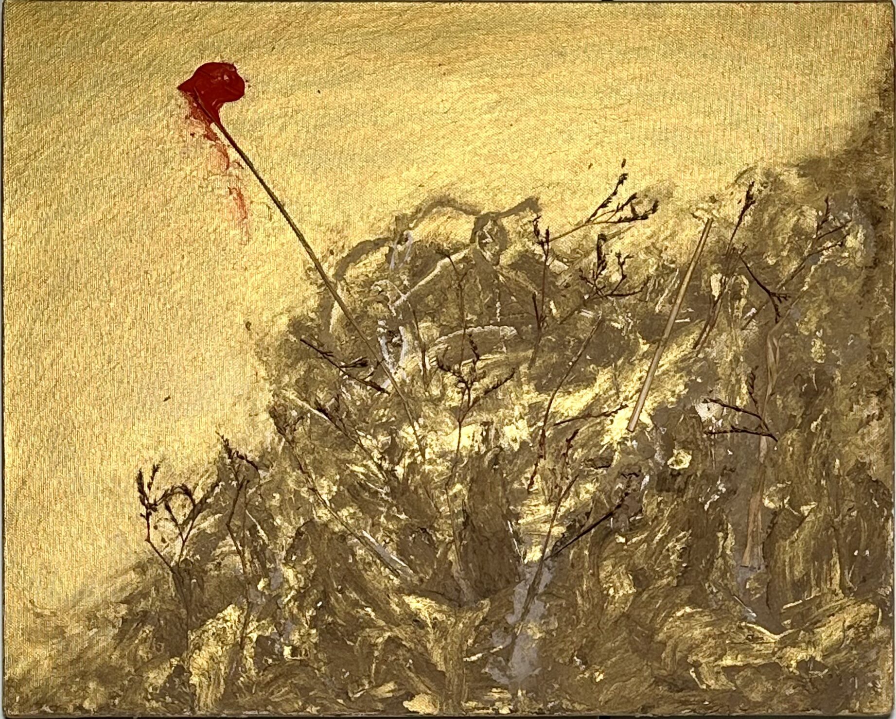 Fiore rosso sangue-acrilico e materie su tela(40×50)