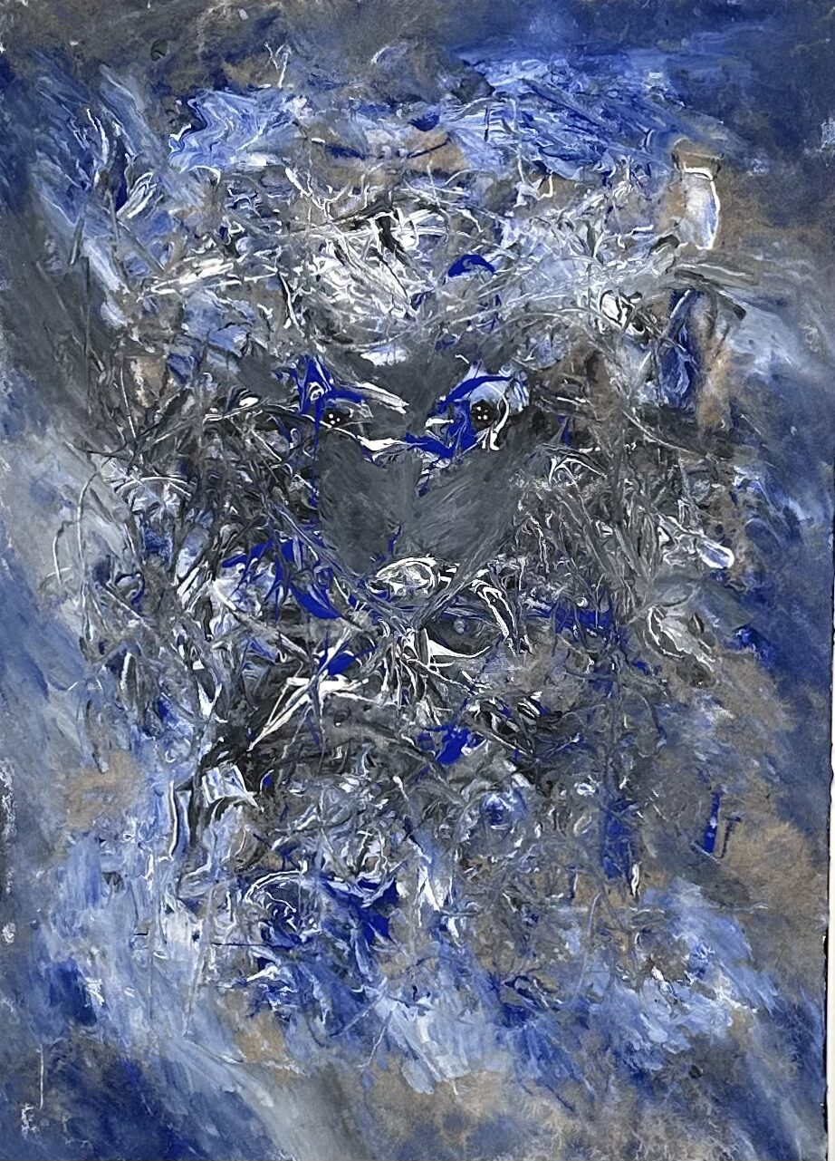 Occhi neri-acrilico su tela(50×60)